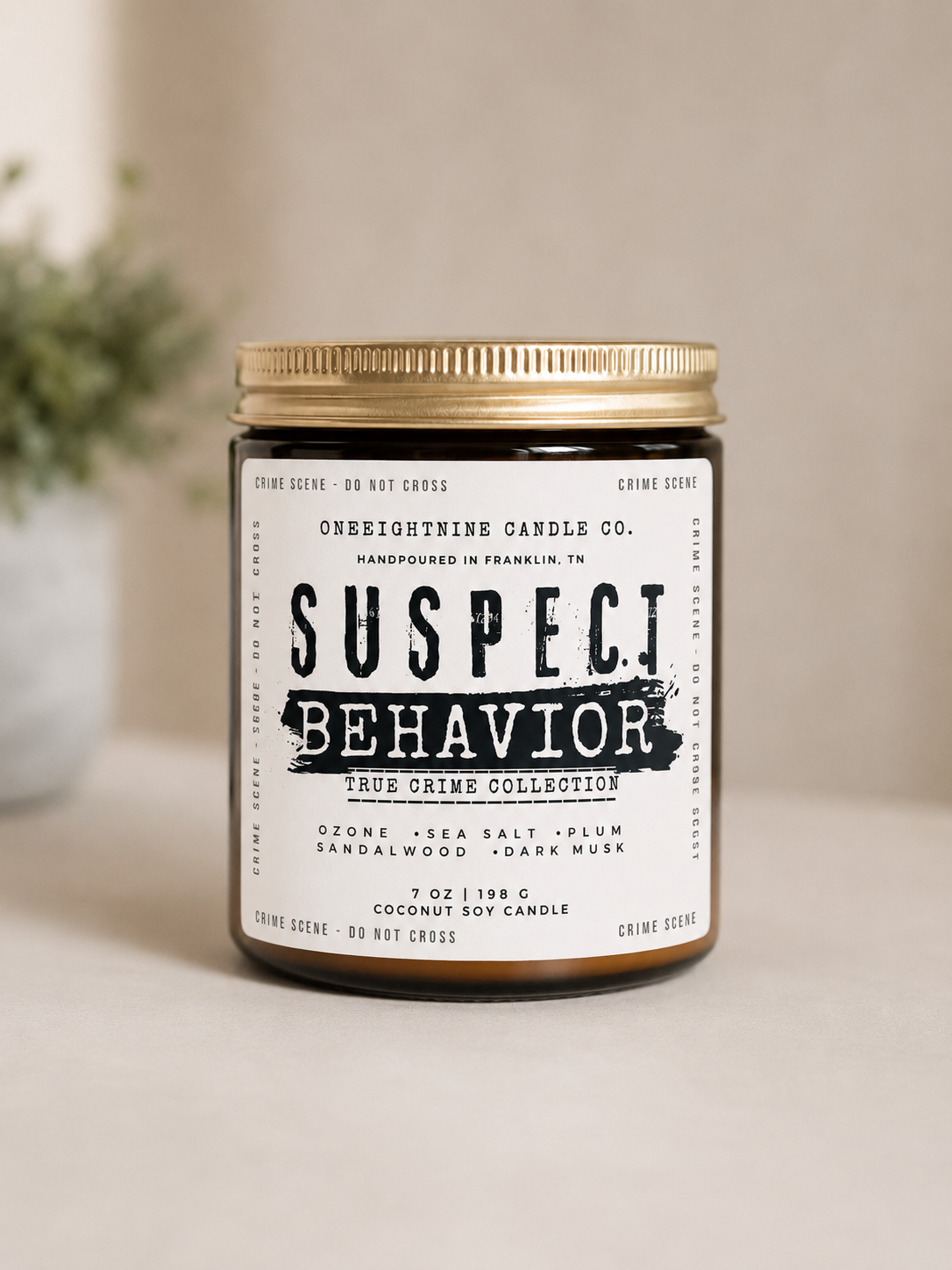 SUSPECT BEHAVIOR (7oz Candle Single Wick) Sea Salt, Plum, Eucalyptus, Sandalwood, Dark Musk - True Crime Collection
