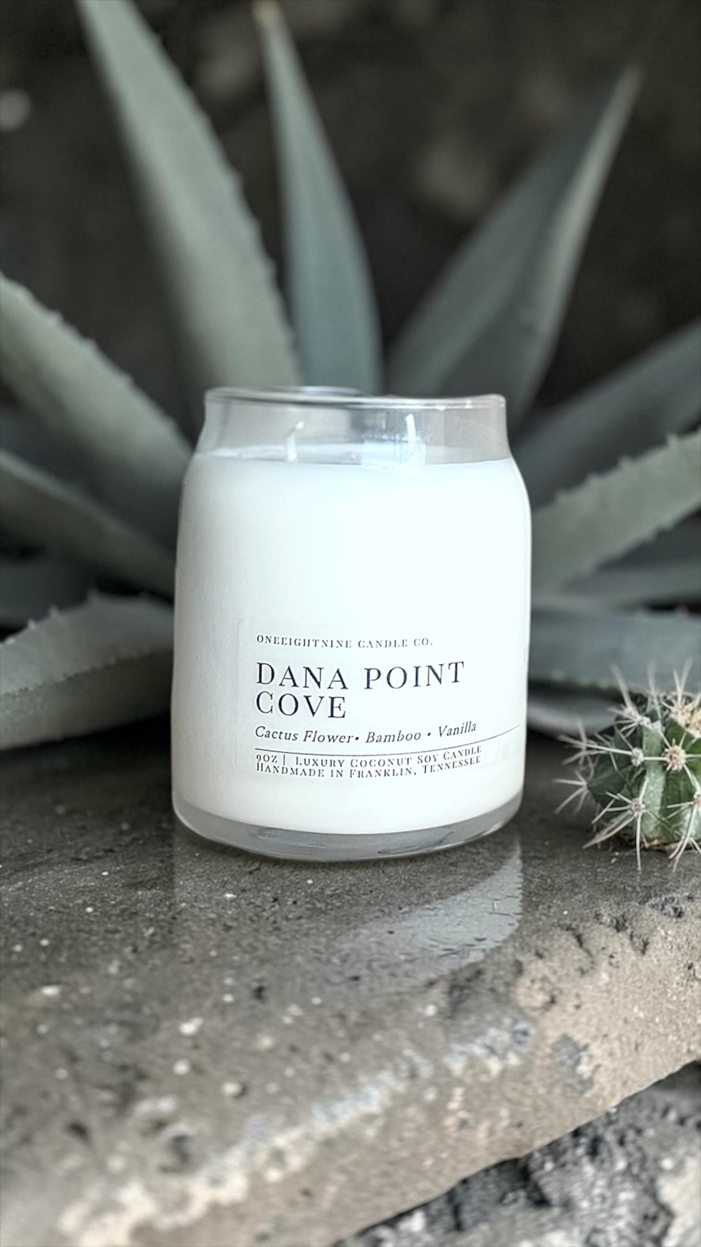 Dana Point Cove (9 Oz Double Wick Candle) Agave, Aloe, Spearmint, Chrysanthemum, Green Leaves, Bamboo, Vanilla, Coconut
