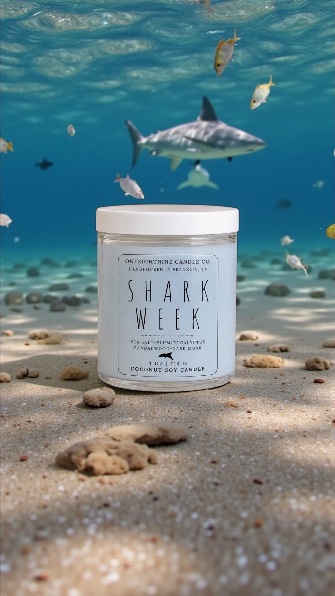 SHARK WEEK (7oz Candle Single Wick) Sea Salt, Plum, Eucalyptus, Sandalwood, Dark Musk