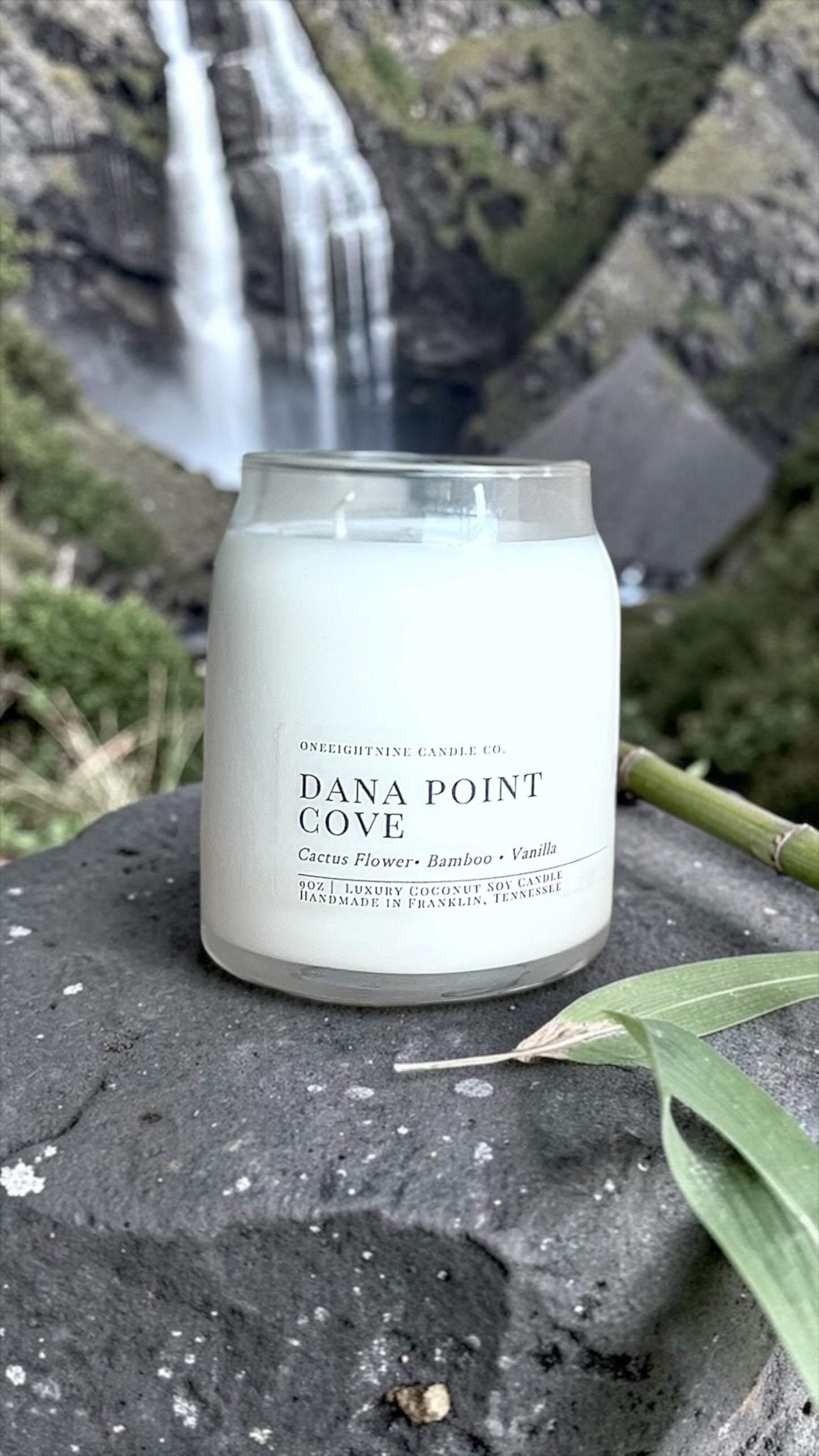 Dana Point Cove (9 Oz Double Wick Candle) Agave, Aloe, Spearmint, Chrysanthemum, Green Leaves, Bamboo, Vanilla, Coconut