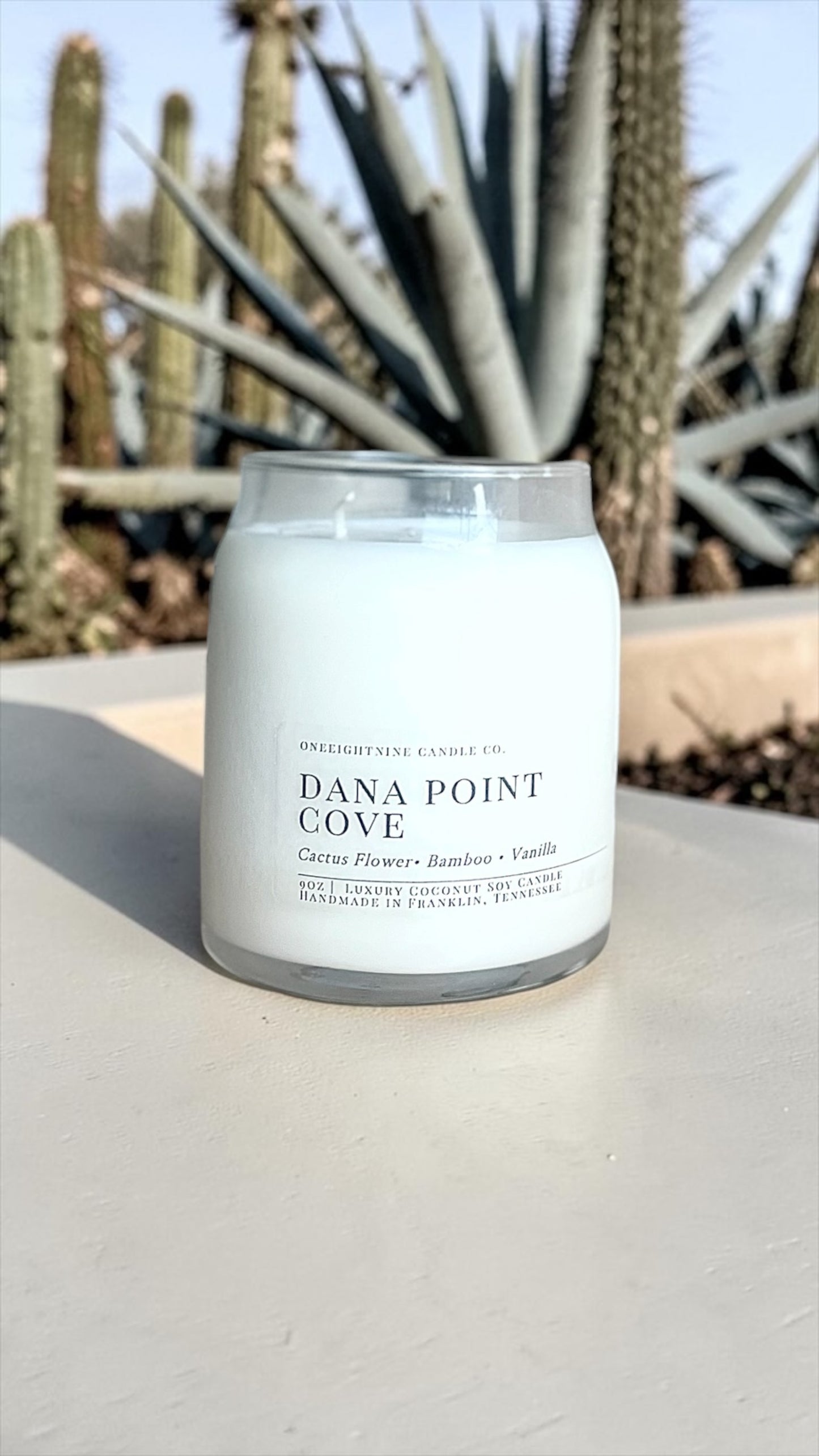 Dana Point Cove (9 Oz Double Wick Candle) Agave, Aloe, Spearmint, Chrysanthemum, Green Leaves, Bamboo, Vanilla, Coconut
