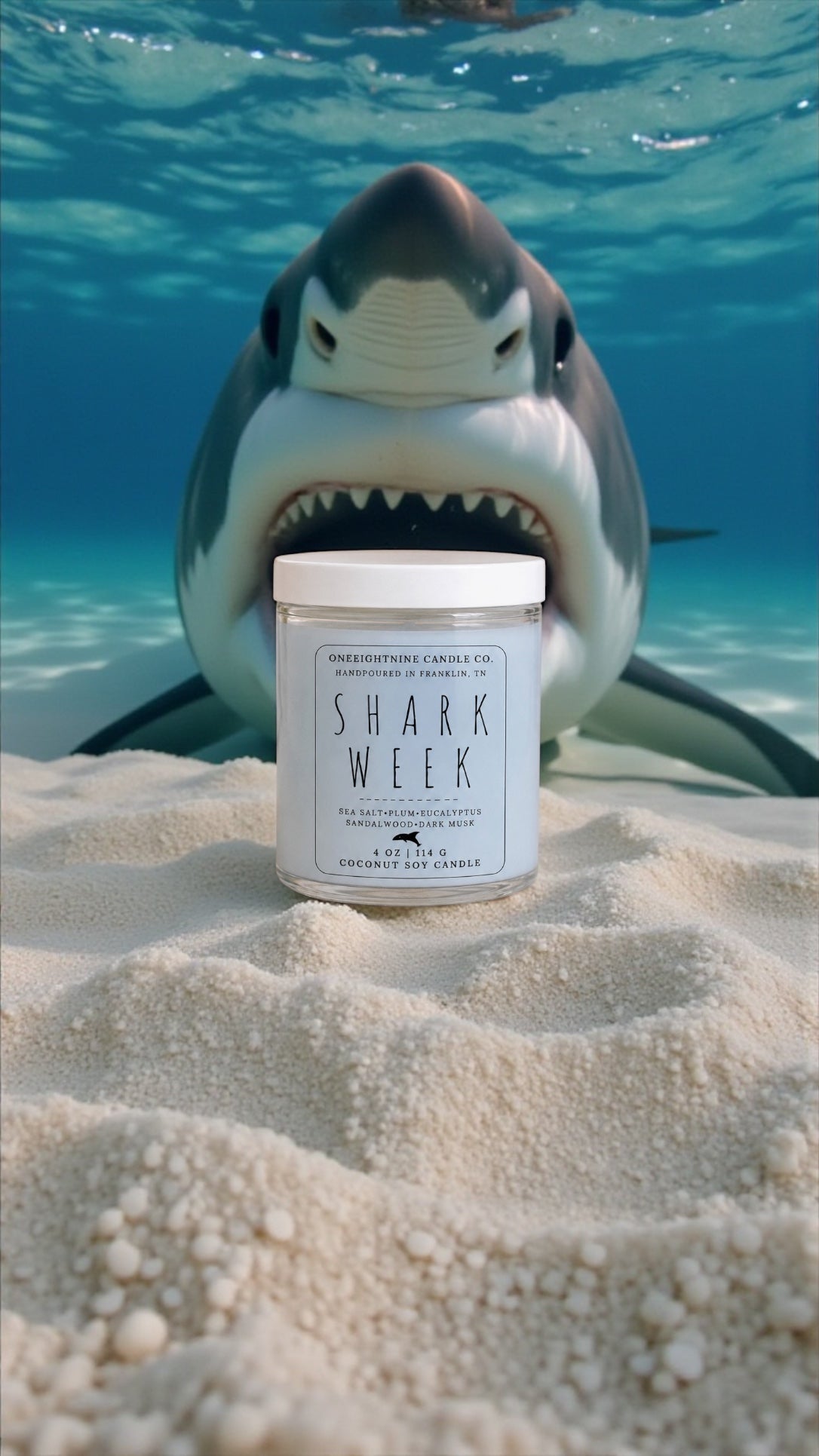 SHARK WEEK (7oz Candle Single Wick) Sea Salt, Plum, Eucalyptus, Sandalwood, Dark Musk